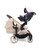 iCandy Peach 7 EDITIONS Twin - Biscotti