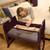 SnuzPod Studio Bedside Crib - Rome Burgandy
