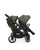 iCandy Peach 7 Twin - Ivy