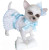 Daisy Reborn Chihuahua White and Blue Outfit