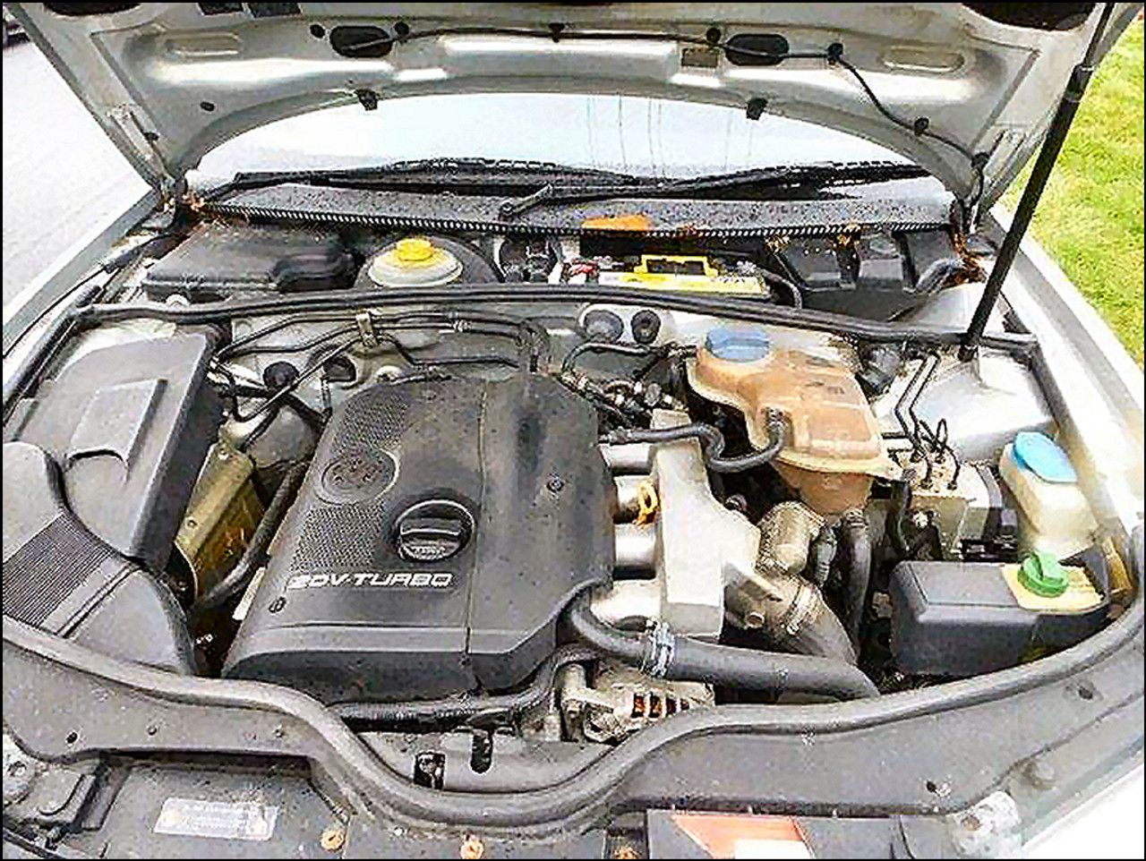 Buying advice Volkswagen Passat (B5/B5.5) 1996-2005, Common Issues,  Engines, Inspection 
