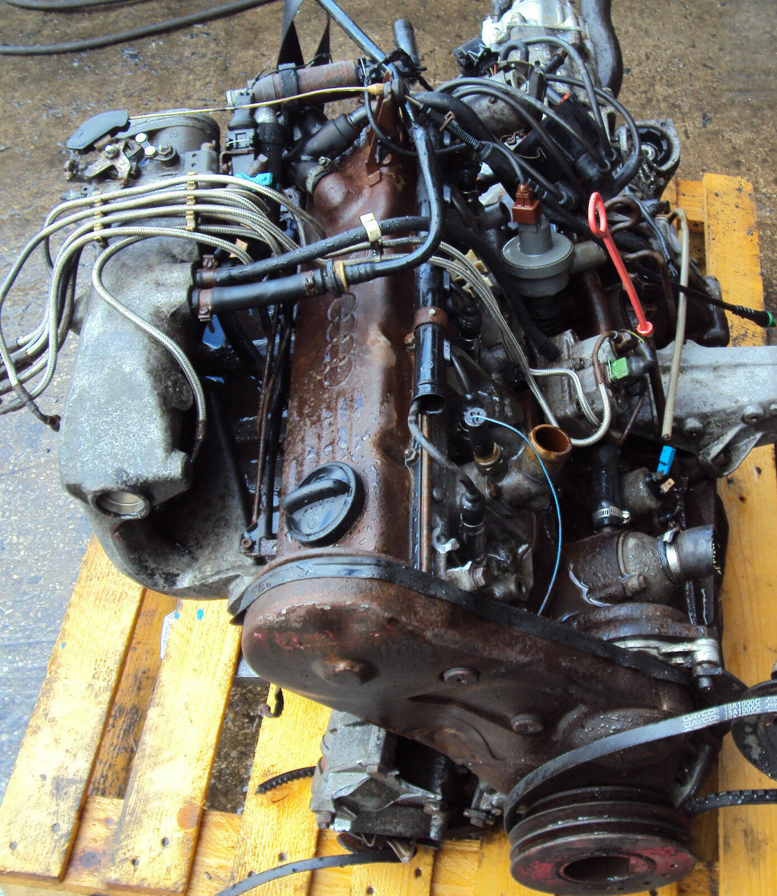 In der Gnade von Verdrehte Leiden kv motor audi Student reflektieren Mammut