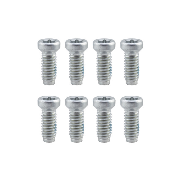 Sram Chainring Bolt Set 8Pc Torx For Direct Mount Rings/Spiders Silver