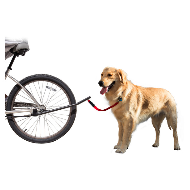 Sunlite Dog Leash