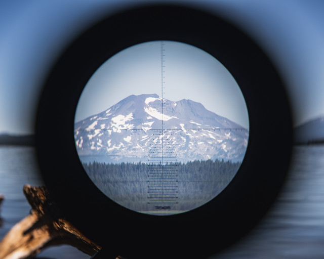 Horus reticle simulator target view