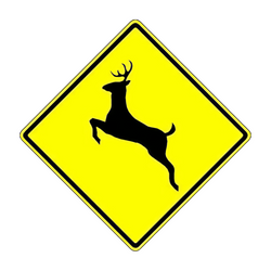 W11-3 Deer