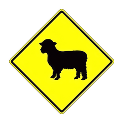W11-17 Sheep