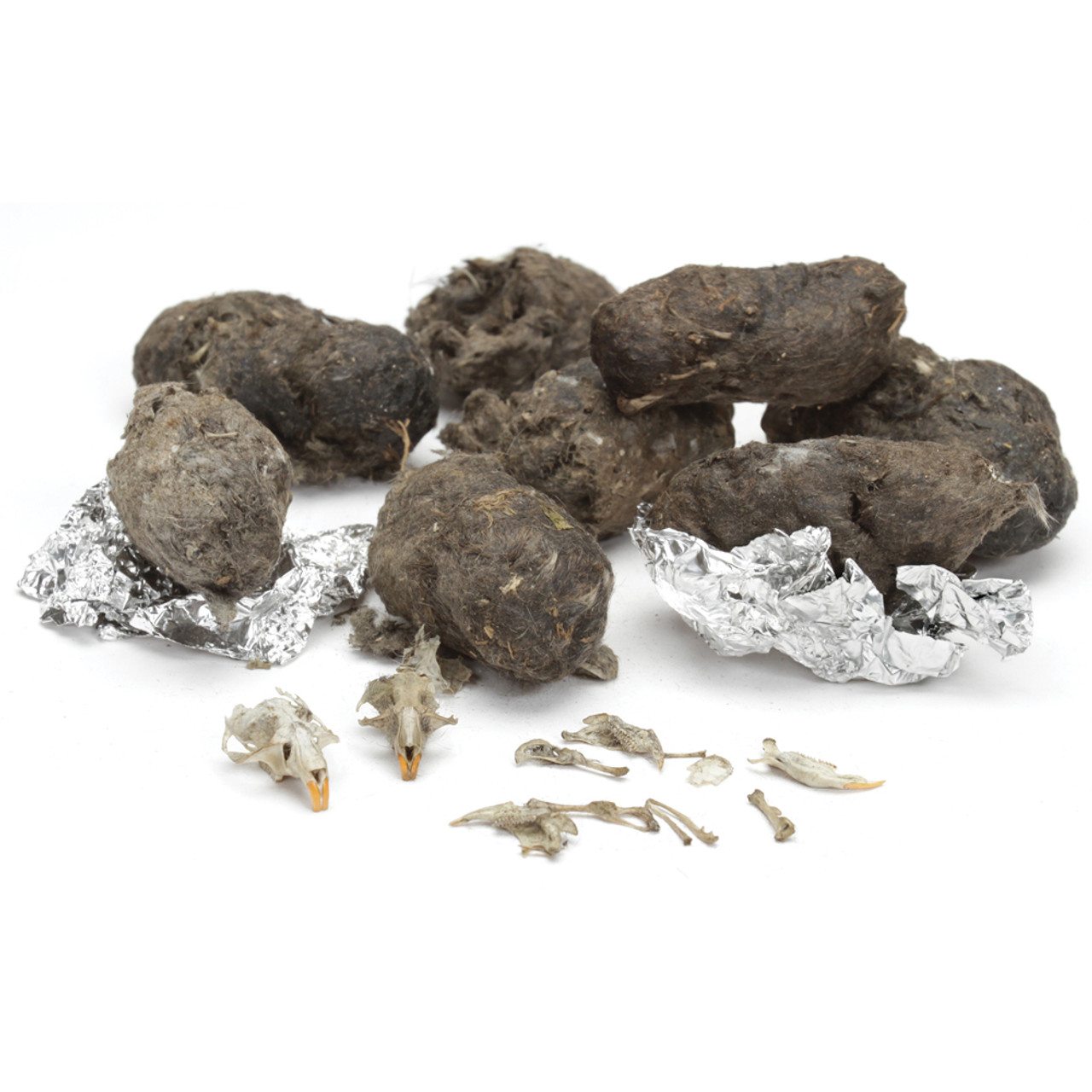 CANADA ONLY - 10 Medium Owl Pellets - Includes Shipping
