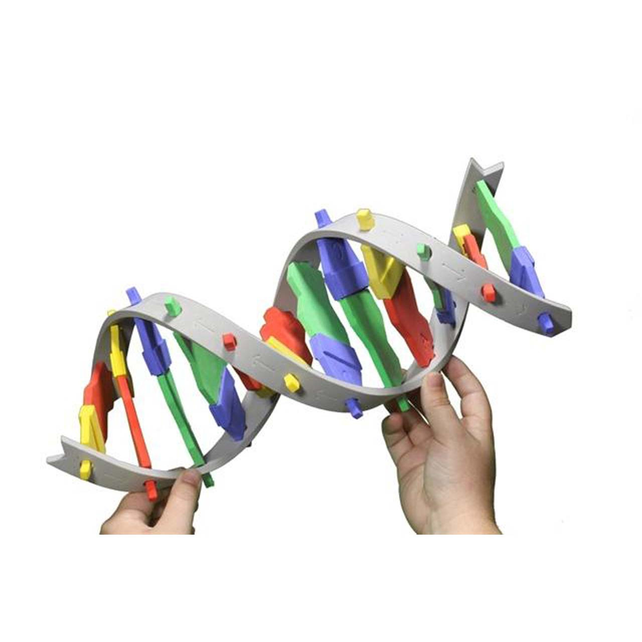 DNA Starter Kit - Southern Biological
