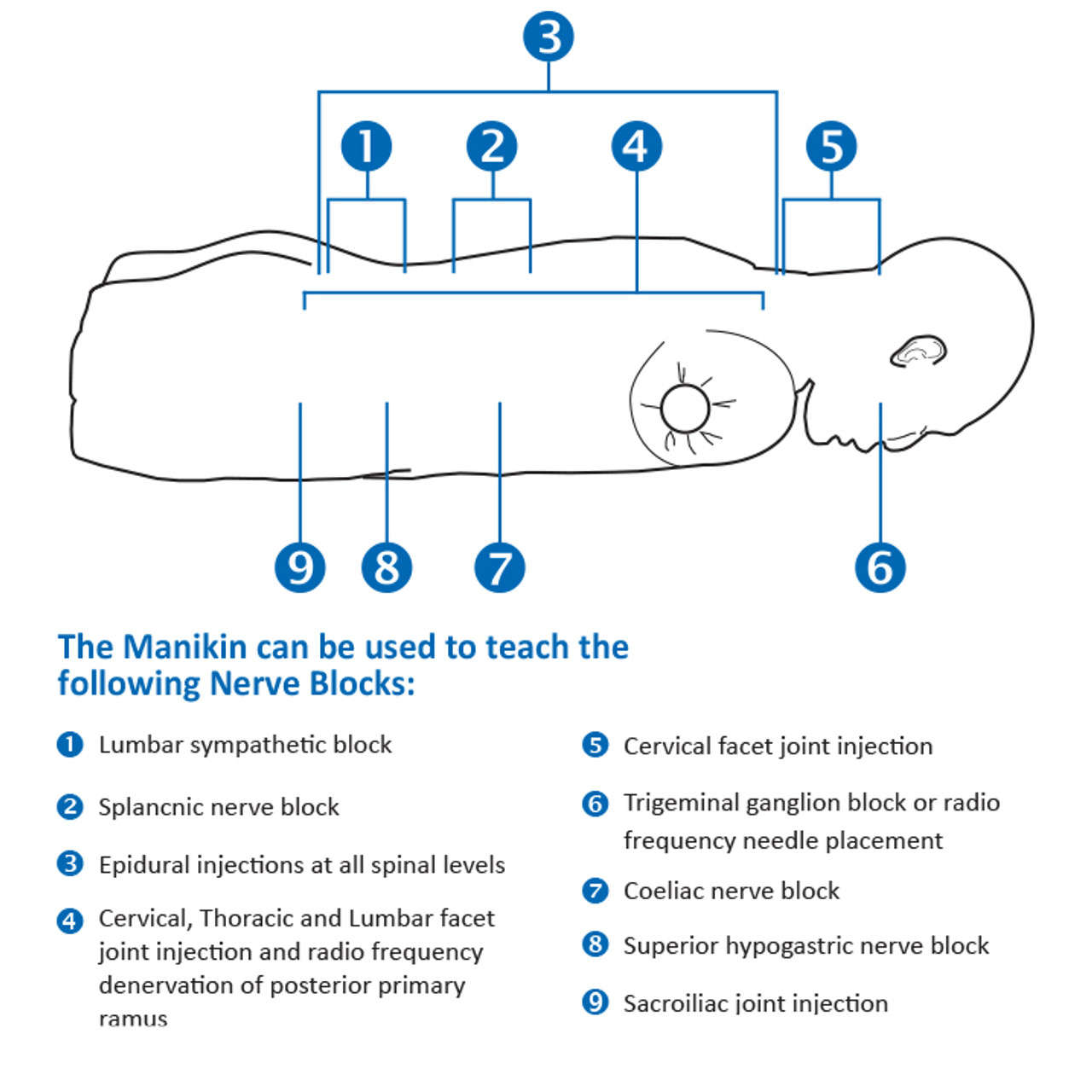 Nerve Block/Pain Relief Manikin