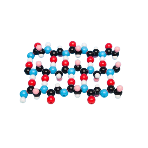 Molymod - Protein Beta-Pleated Sheet
