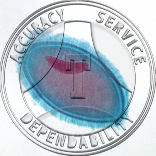 Spirotrich ciliates, mixed, cow stomach, WM Microscope slide