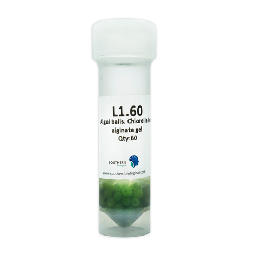Algal balls, only