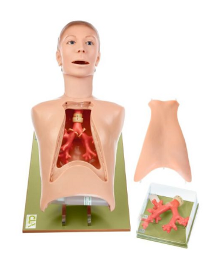 SCOPIN Bronchoscopy Model "SICK BOY"