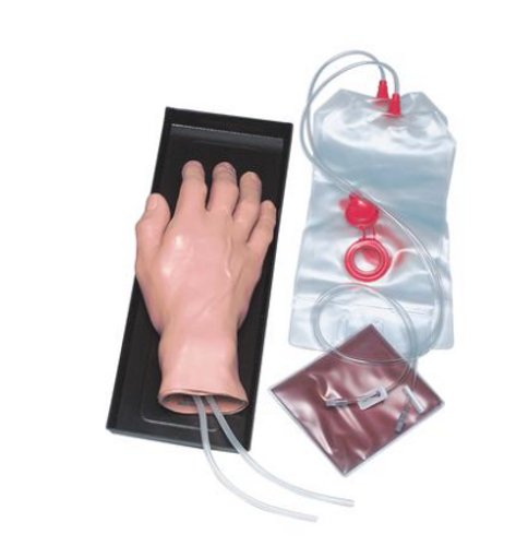I.V. Training Hand