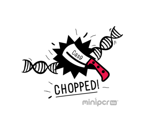Chopped! Using CRISPR/Cas9 to cut DNA