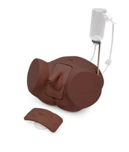 3B Catheterisation Simulator Set PRO, Dark Skin