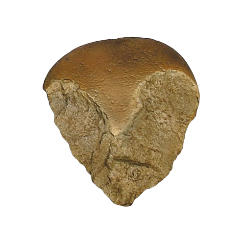 Fossil Hominid Tool, Bifacial Chopper, Oldowan