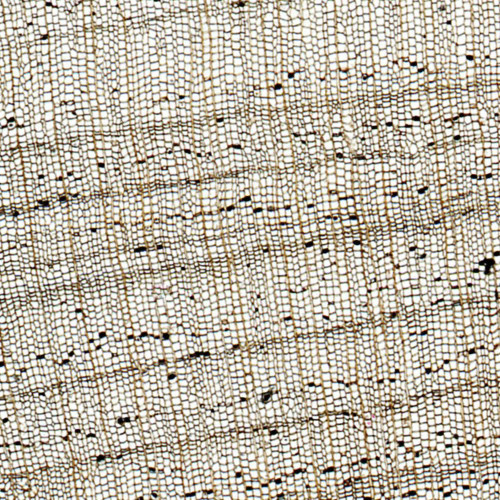 Cork, sec., 20 µ Microscope Slide