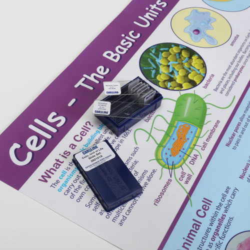Cells, Units of Life Slide and Poster Set