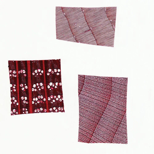 Wood Types Comparison, c.s., 15 µm Microscope Slide