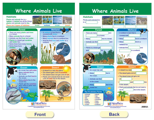 All About Animals Bulletin Board Chart Set