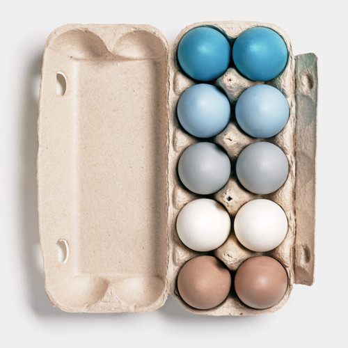 Blue Egg Gene Chicken DNA Test