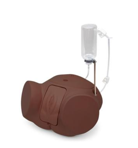 3B Catheterisation Simulator PRO, Female, Dark