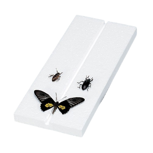 Polystyrene Mounting Board, Grooved, 39 x 17 x 3cm