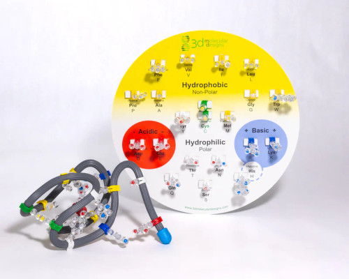 Amino Acid Starter Kit - 1 Group Set