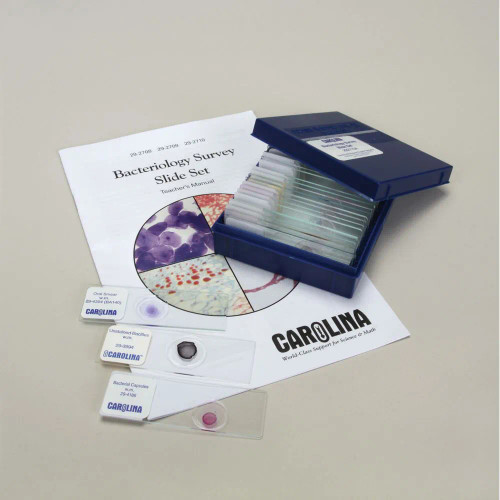 Bacteriology Survey Microscope Slide Set