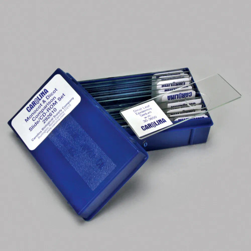 Monocot and Dicot Comparison Microscope Slide Set with Digital Resources