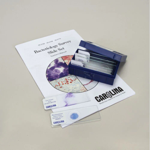 Bacteriology Survey Microscope Slide Set 1