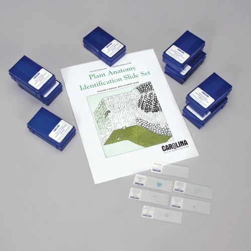 Plant Anatomy Identification Classroom Microscope Slide Set with Digital Resources