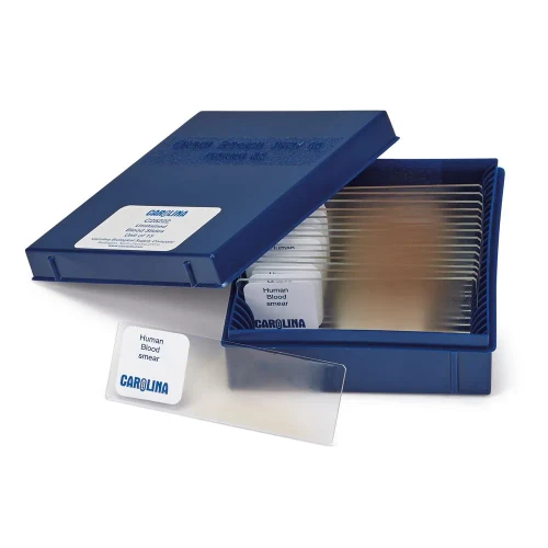 Readi-Stain® Human Blood Film Slide, Unstained, Smear, Set of 15