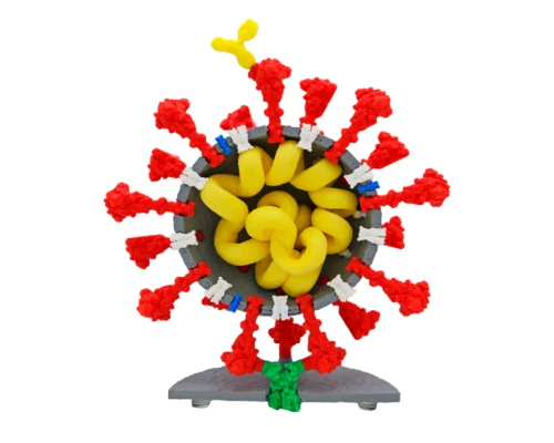 Coronavirus Models© - 4" Red & Gray