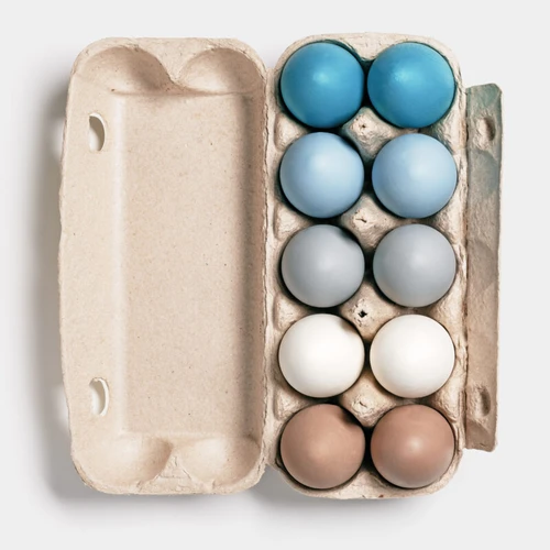 Blue Egg Gene Chicken DNA Test