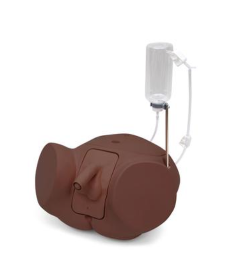  3B Catheterisation Simulator PRO, Male, Dark