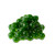 Algal balls, only