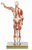 Somso Male Muscle Figure, 27pt
