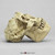 Australopithecus robustus, SK-48, with jaw