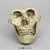 Australopithecus robustus, SK-48, with jaw