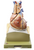 Somso Heart on Diaphragm Base, Anatomical Model