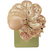 Somso Anatomical Sectional Model of the Head , Anatomical Model