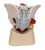 3B Scientific Male pelvis (7-parts), Anatomical Model
