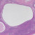 Human Ovary Slide, 7 µm, H&E