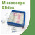 Bacteriology Survey Microscope Slide Set 2