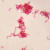 Gram-Negative Spirillum, w.m. Gram stain Microscope Slide