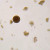 Entamoeba coli Trophozoites, smear Microscope