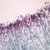 Penicillium, sec., 12 µm Microscope Slide